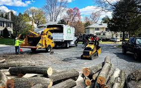 Best Hazardous Tree Removal  in Walton Park, NY