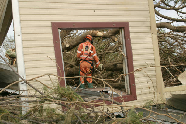 Professional Tree Services in Walton Park, NY
